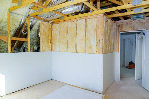 Best Eco-Friendly or Green Insulation Solutions  in Ensley, FL